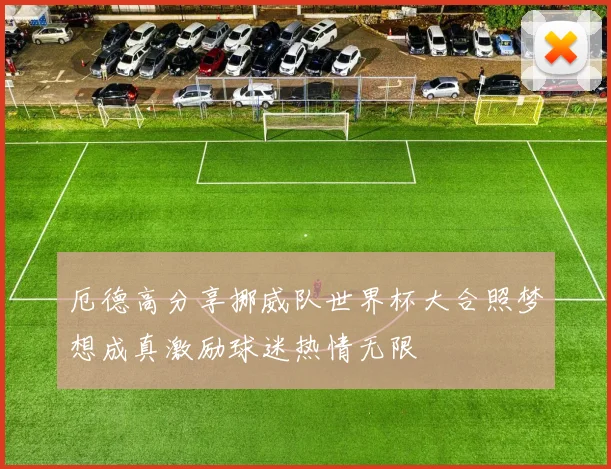 厄德高分享挪威队世界杯大合照梦想成真激励球迷热情无限