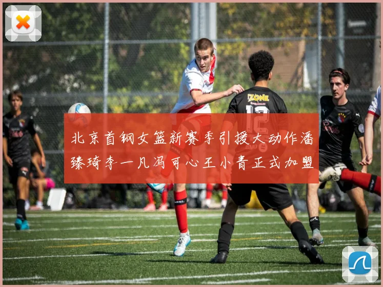 北京首钢女篮新赛季引援大动作潘臻琦李一凡冯可心王小青正式加盟